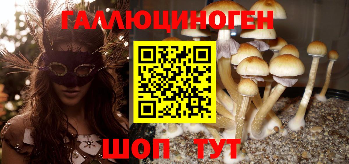 Галлюциногенные грибы мицелий Кыштым